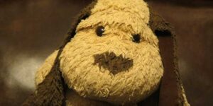 The real Pochi Pochi Was Here Pochi Visits the Land of the Rising Sun Barnes & Noble Amazon K Richard Douglas